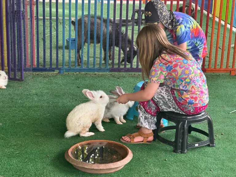 Food as Love: How We Teach Connection Through Cooking